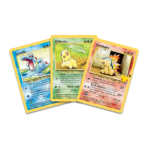 First Partner Pack: Johto Display (12 Packs) - Level Play